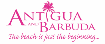 Antigua Winged Whale Media