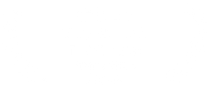 Design Rush Reward