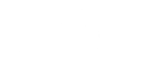 Business Excellence Award